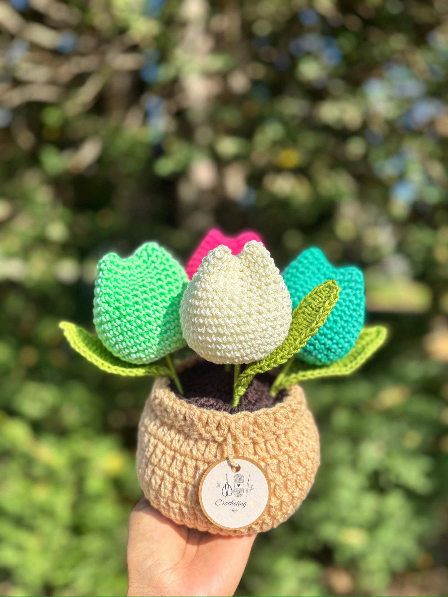 Tulipanes en Macetera