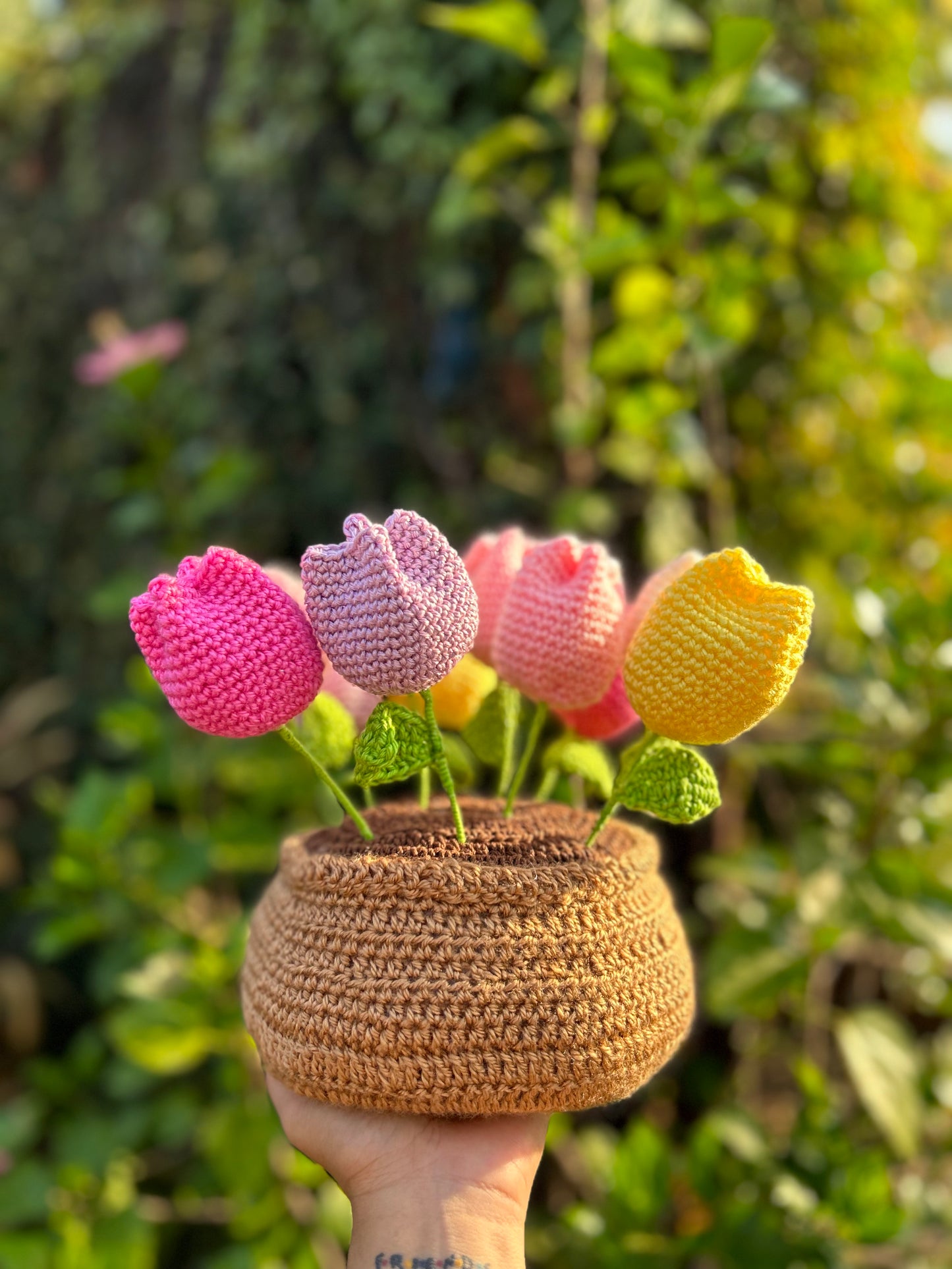 Tulipanes en Macetera