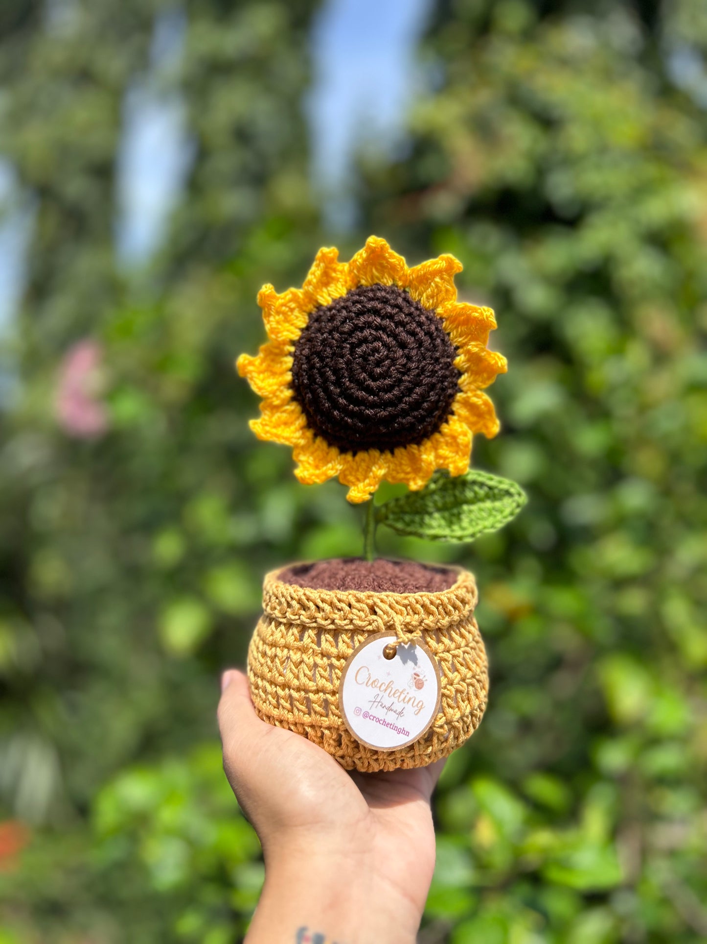 Girasoles en macetera