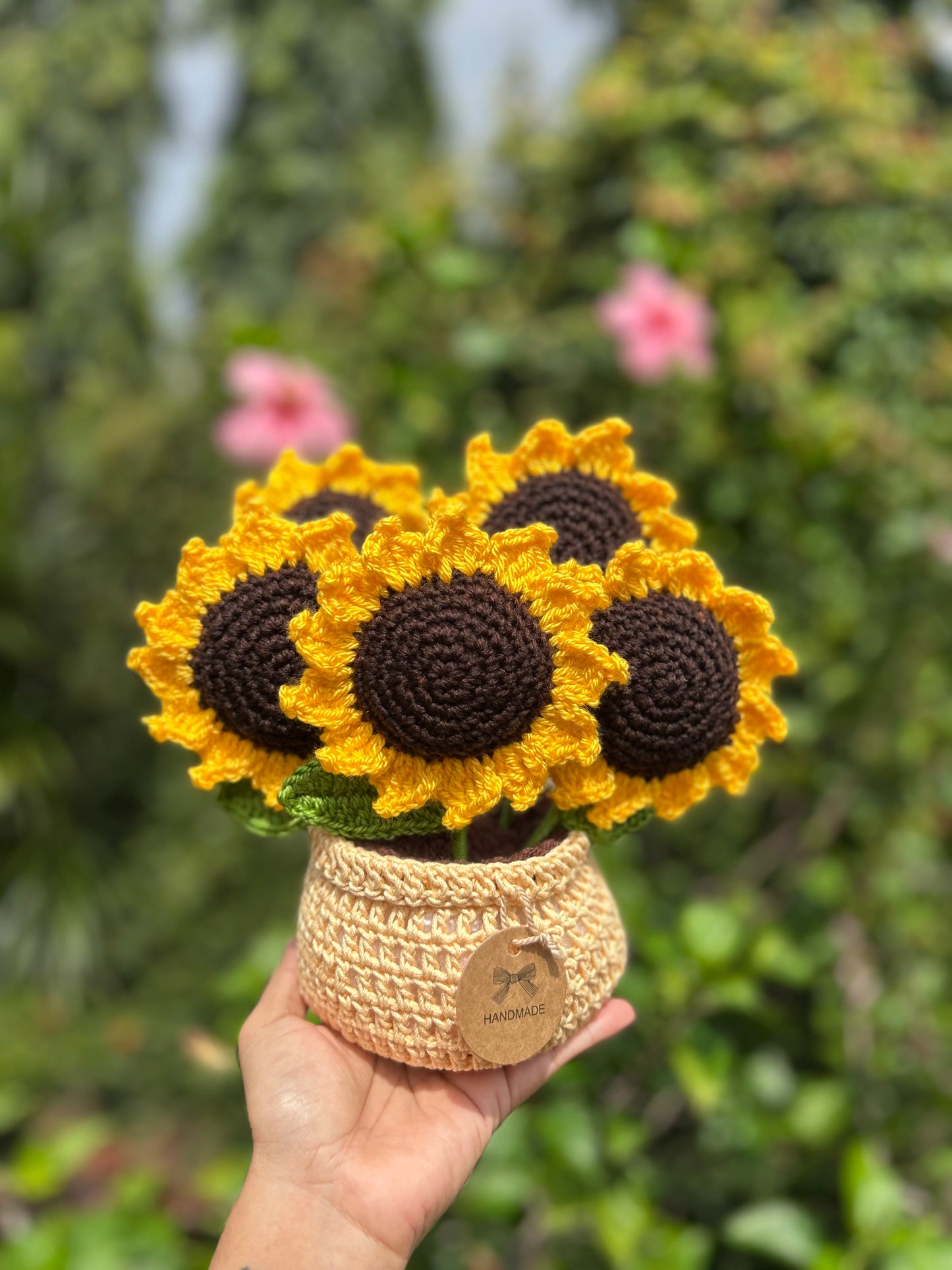 Girasoles en macetera