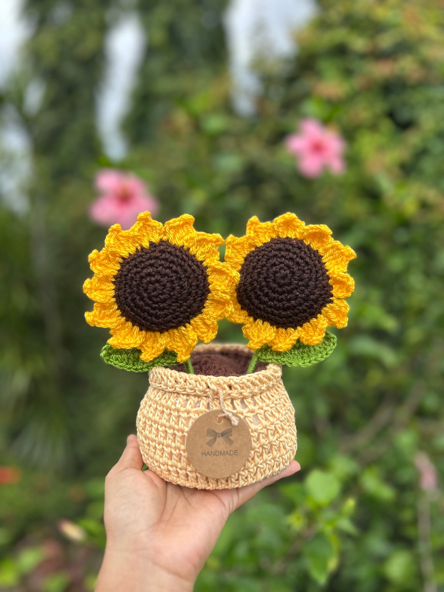 Girasoles en macetera