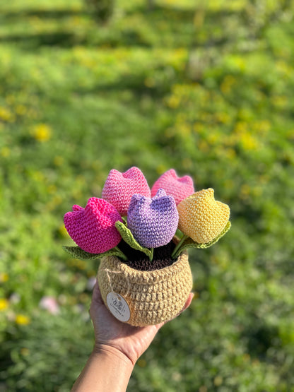 Tulipanes en Macetera